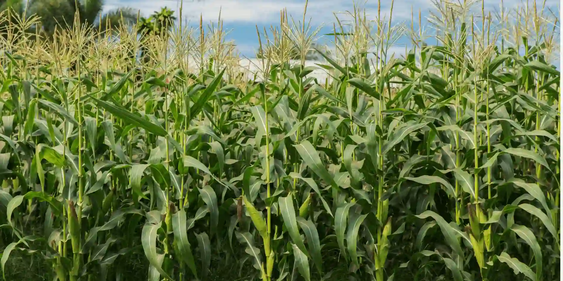 Pride Agriculture™